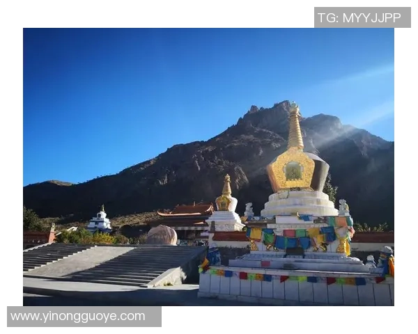 与刘秀英畅谈街舞人生与梦想追逐的精彩旅程