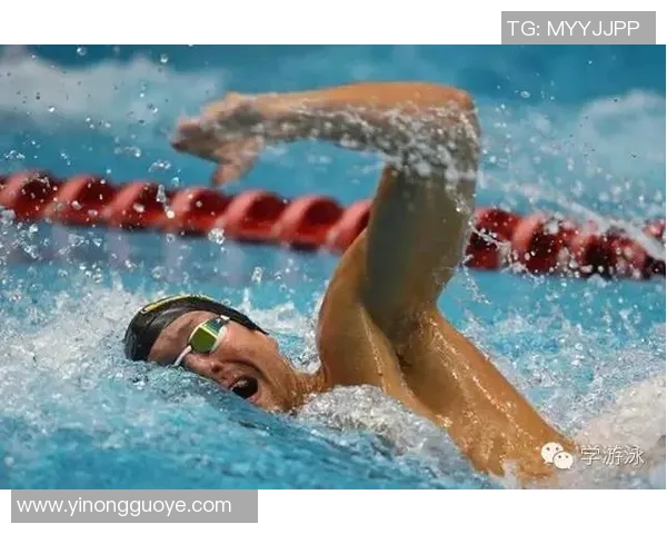 游泳四大泳姿全面解析：技巧、训练与健身效果一网打尽