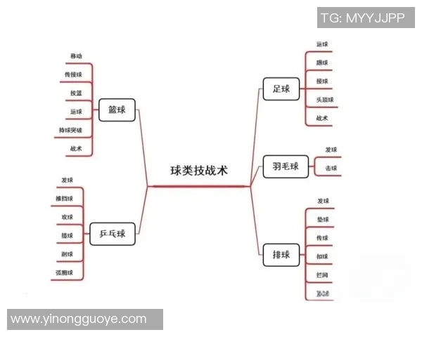 杭州排球队配合表现的数据分析与战术研究探讨